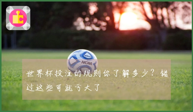 世界杯投注的规则你了解多少？错过这些可就亏大了