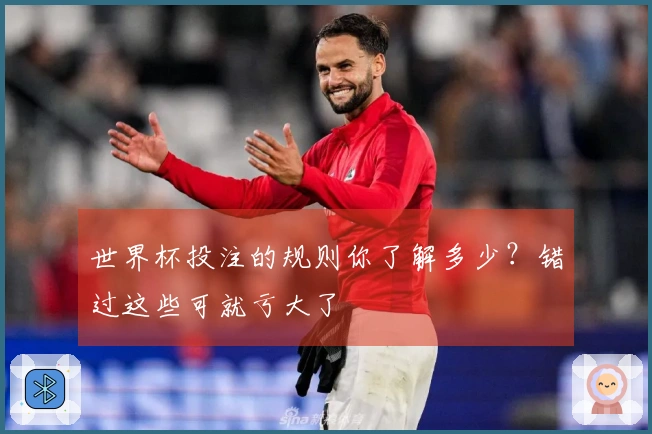 世界杯投注的规则你了解多少？错过这些可就亏大了
