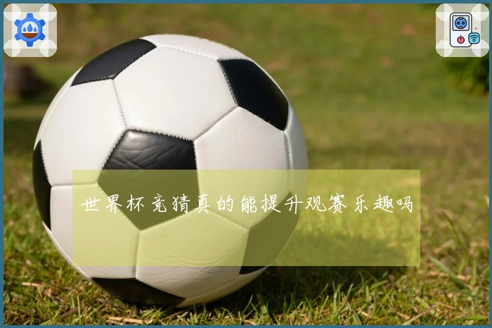 世界杯竞猜真的能提升观赛乐趣吗