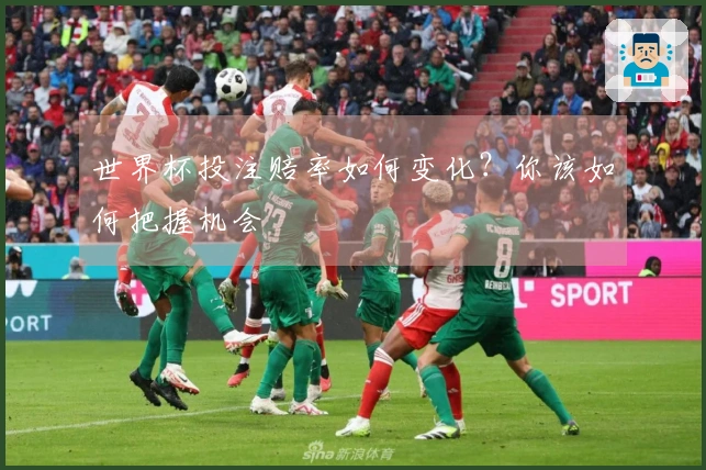 世界杯投注赔率如何变化？你该如何把握机会