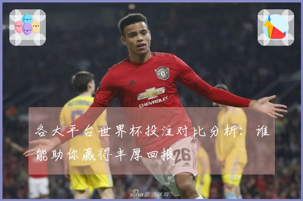 各大平台世界杯投注对比分析：谁能助你赢得丰厚回报
