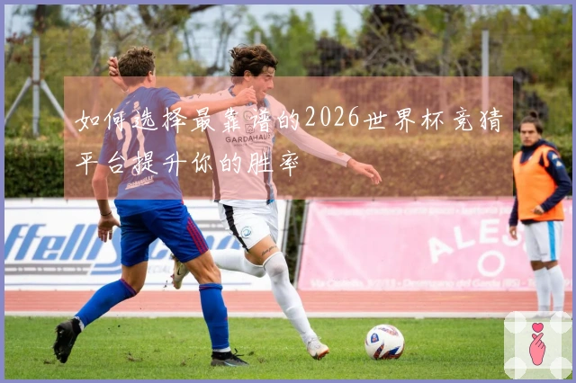 如何选择最靠谱的2026世界杯竞猜平台提升你的胜率