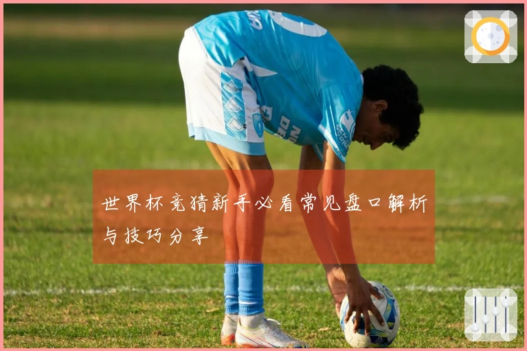 世界杯竞猜新手必看常见盘口解析与技巧分享